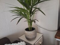 20260830_120630.jpg