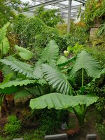 20260831_105402.jpg