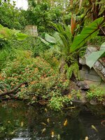 20260831_104951.jpg