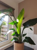 20260901_091239.jpg