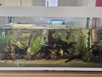 aquariun voorkant.jpeg