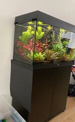 IMG_3844.jpeg