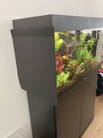 IMG_3845.jpeg