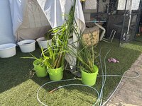 IMG_3445.jpeg