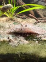 IMG_4099.jpeg