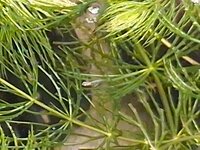20260910_103722.jpg