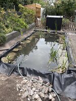 IMG_3496.jpeg