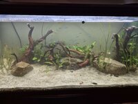 Aquarium.jpg