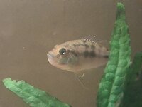 20260915_143713.jpg