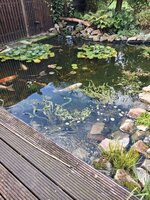 20260916_112141.jpg