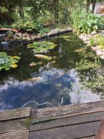 20260916_112152.jpg