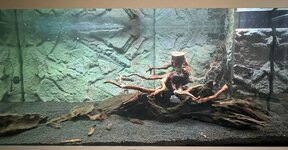 IMG_6164.jpeg