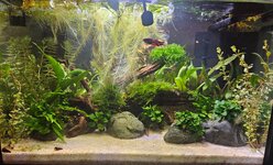 20260921_203230.jpg