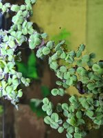 20260924_210047.jpg