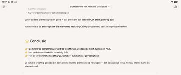 IMG_3717.jpeg