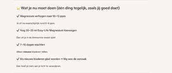 IMG_3721.jpeg