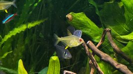 IMG_5873.jpeg