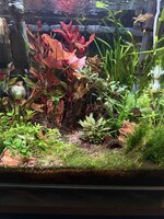 IMG_1526.jpeg