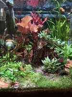 IMG_1529.jpeg