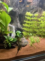 IMG_3027.jpeg