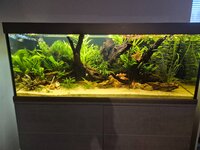 20261009_175243.jpg