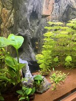 IMG_3178.jpeg