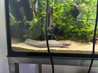 IMG_3290.jpeg