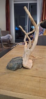 20261008_215607.jpg