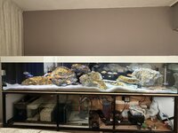 IMG_6506.jpeg