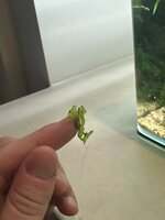 IMG_8807.jpeg