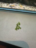 IMG_8804.jpeg