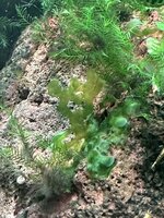 IMG_8803.jpeg