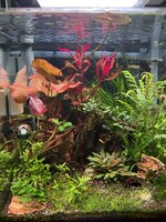 IMG_1790.jpeg