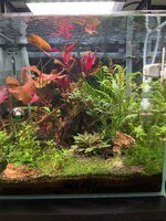 IMG_1783.jpeg