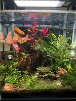IMG_1788.jpeg