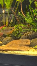 20261012_115441.jpg