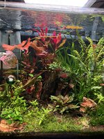 IMG_1802.jpeg