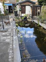 IMG_3582.jpeg