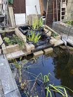 IMG_3584.jpeg