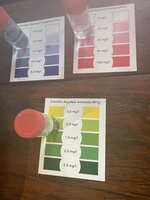 IMG_9534.jpeg