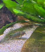 IMG_3622.jpeg