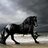 Friesian