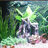 BTG_Aquatics
