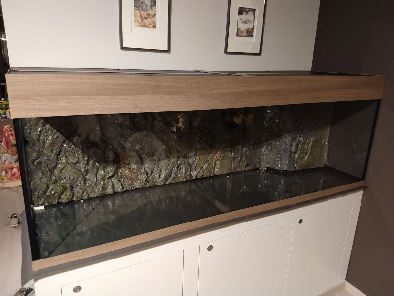 Aqua2018_09.jpg