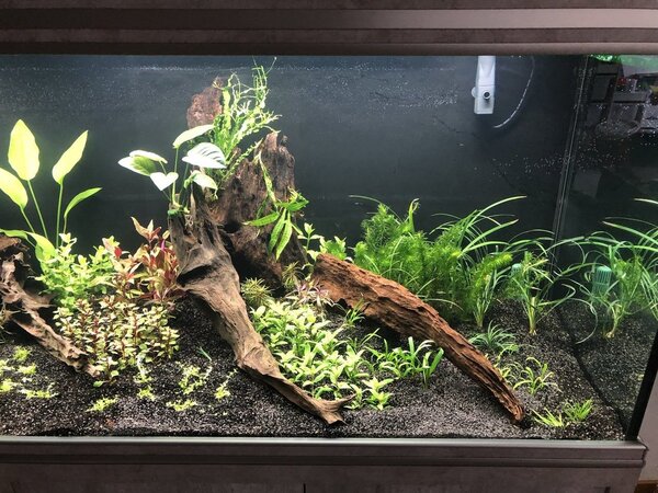 2019-01-17-14-02-41-jpg.266350