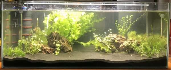 52b8ac85-acd7-48ca-835c-20d0f22d3ae6-jpeg.260566