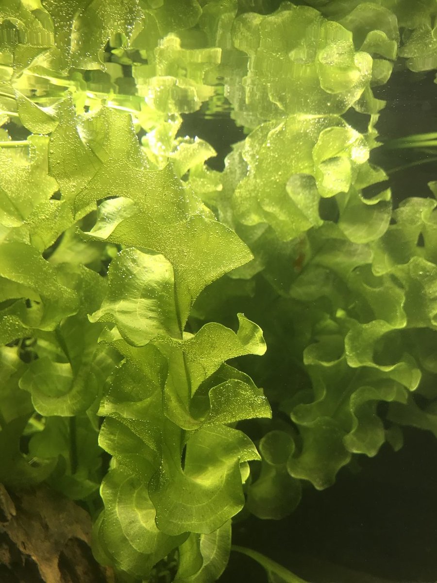 abb815ae-ee40-480c-961a-9710c20a355f-jpeg.260565