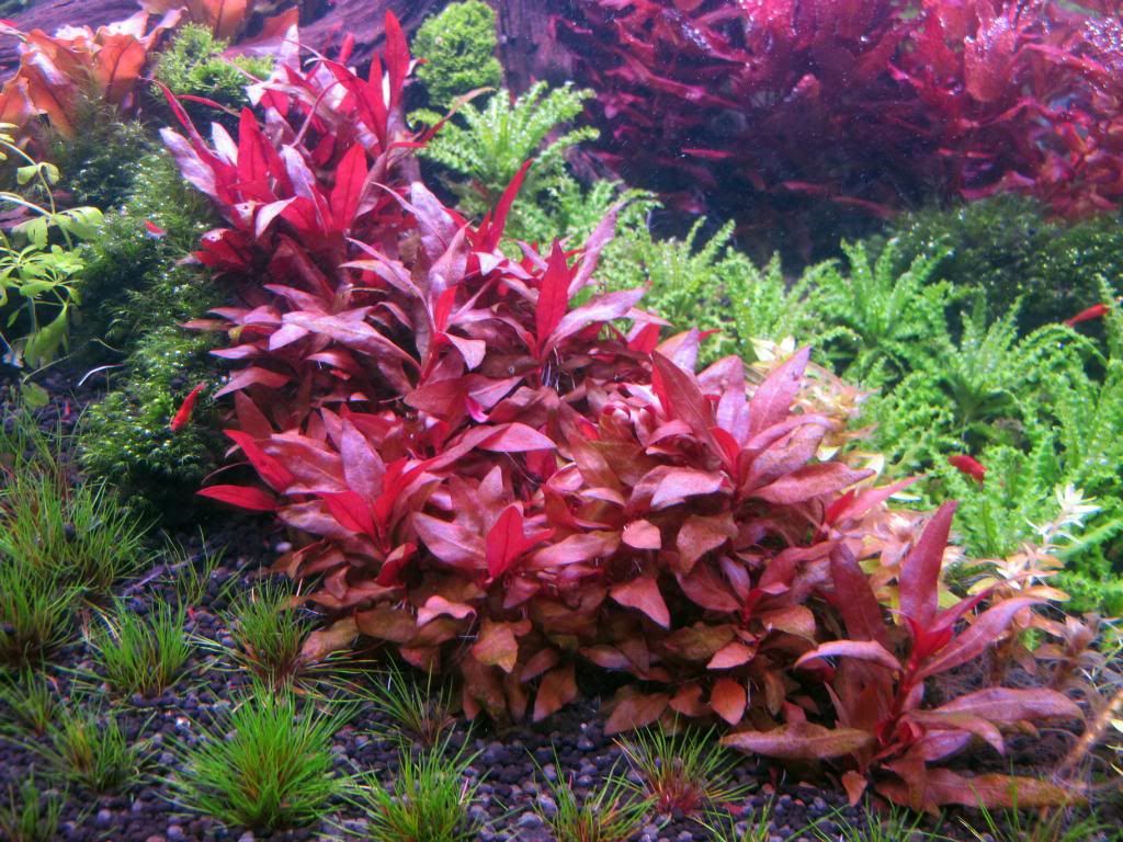 78f04f4ebba5e9d3b37b475ef5a355c9.jpg
