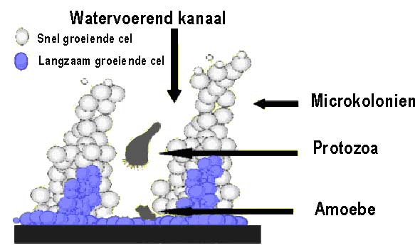 www.aquainfo.nl