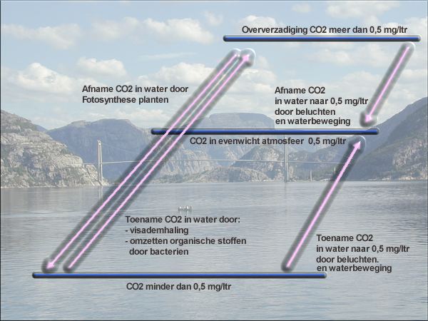 aquainfo.nl